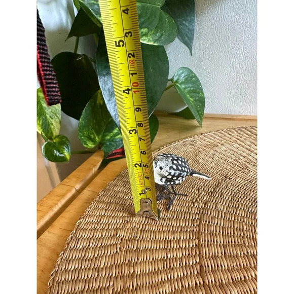 Southern Red-Bill Horned bird decor - Picture 2 of 7